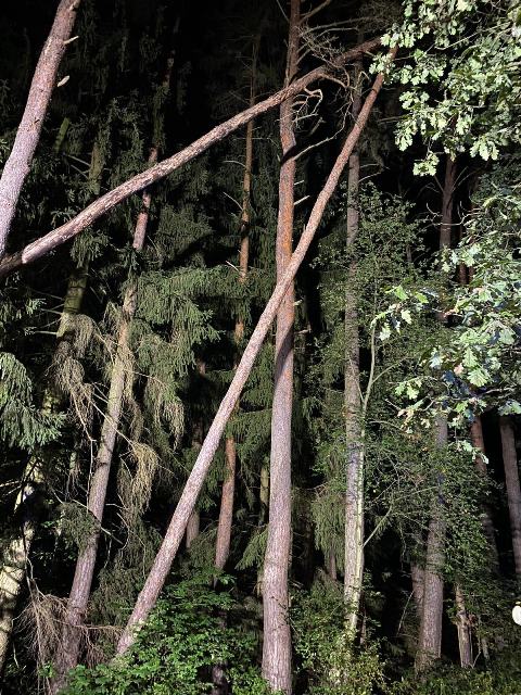 IMG-20200914-WA0000 groß.jpg